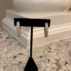 Elegant gold Hoop Earrings